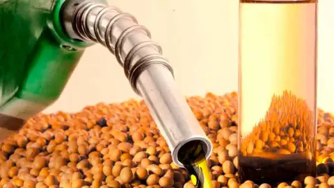 PLANTAS-DE-PROCESAMIENTO-DE-SOYA