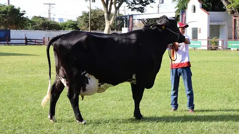 AGROPECRUZ-01