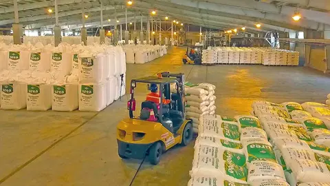 YPFB-UREA