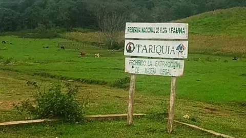 TARIQUIA