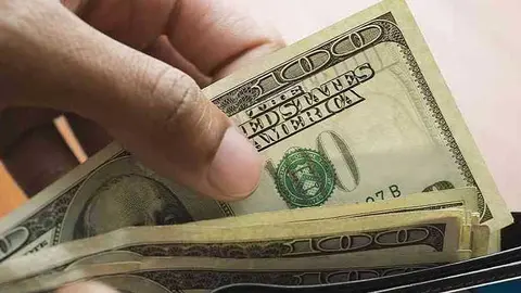 DOLARES
