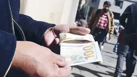 DOLARES
