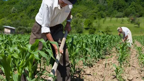 SECTOR-PRODUCTIVO