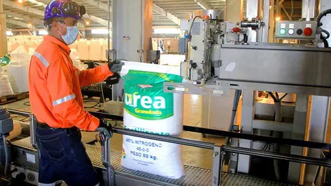 UREA-SEGUNDA-PLANTA