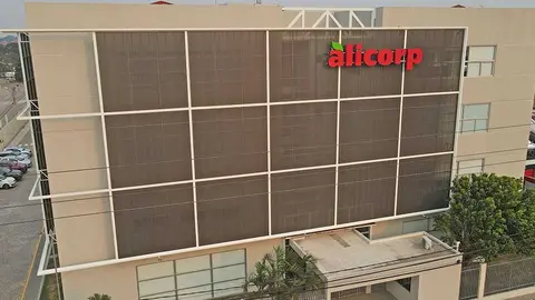 ALICORP-01