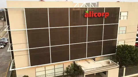 ALICORP-01