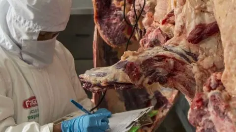 EXPORTACION-DE-CARNE