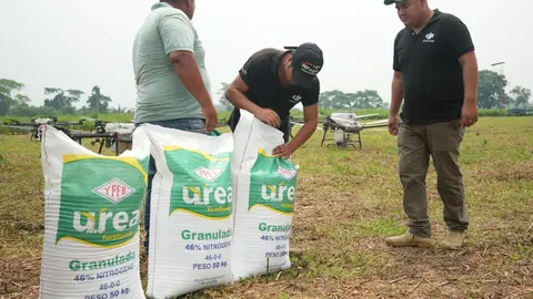UREA 01