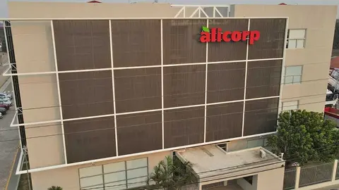 ALICORP-01