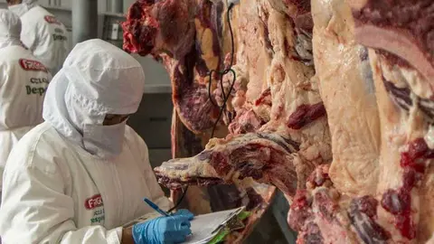 CARNE-BOVINA
