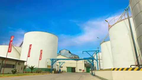 PSX_20241129_201547