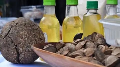 CACAO-AMAZONIA-01