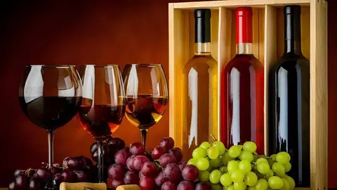 VINOS-BOLIVIANOS