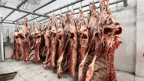 CARNE-DE-RES-01