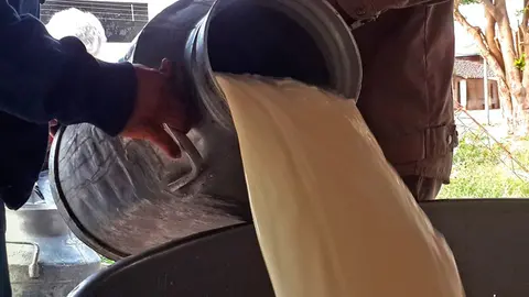 ec-47-leche