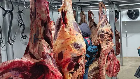 CARNE-DE-RES