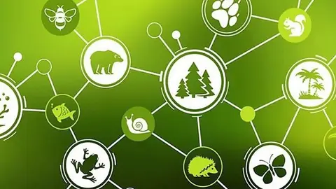 dia-de-la-biodiversidad