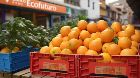 ECOFUTURO