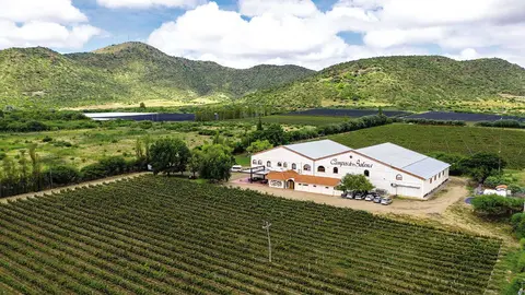 Bicentenario-Bodega-Campos-de-Solana
