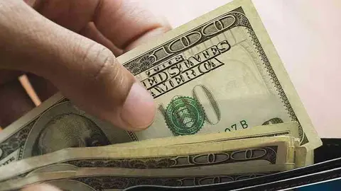 DOLARES