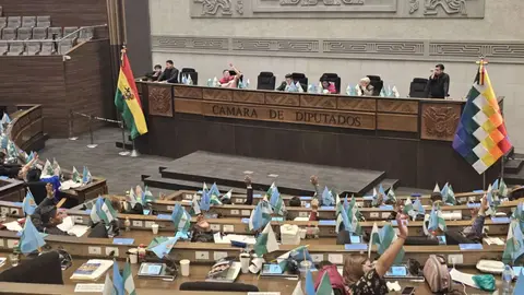 DIPUTADOS