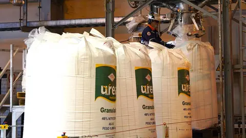 UREA-01