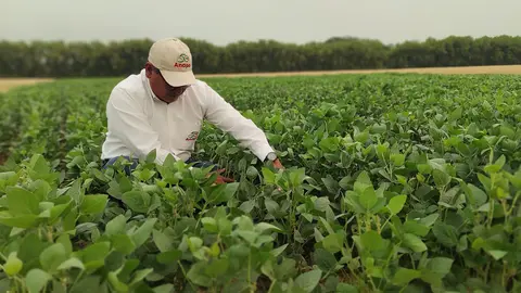 EXPOSOYA-DEL-NORTE-01