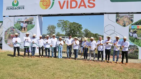 VIDAS-01