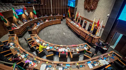 senado asamblea