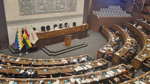 DIPUTADOS