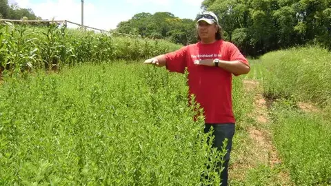 Castebol hoy agrupa a m&aacute;s de 5.000 productores. Su modelo de operaci&oacute;n resuelve los tres problemas que hist&oacute;ricamente impiden el despegue de cultivos no tradicionales entre peque&ntilde;os agricultores.