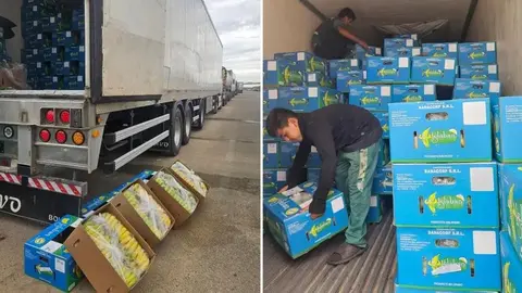Cada uno de estos veh&iacute;culos transporta alrededor de 1.000 cajas de banano, seg&uacute;n el reporte