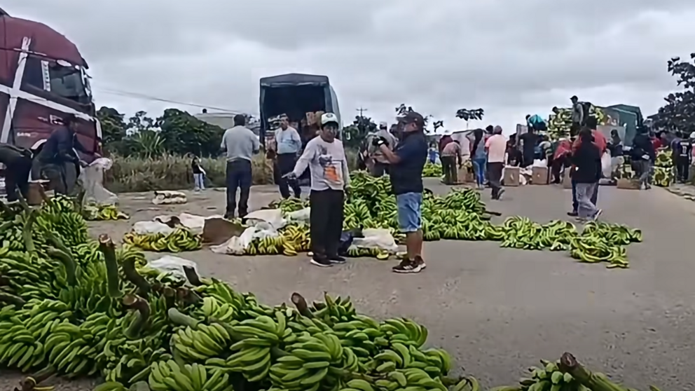 Los bananeros descargaron cajas de fruta de exportaci&oacute;n de varios camiones y las arrojaron a la carretera. | Foto: Captura de video.