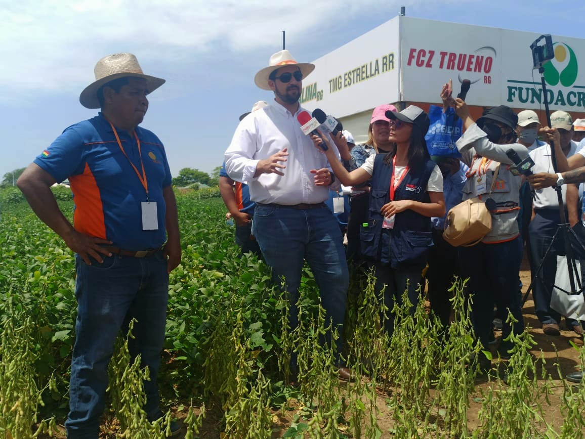 Lanzamiento nueva semilla FCZ SALINA