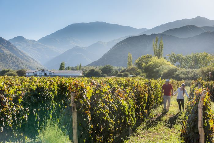 Ruta del Vino de Altura_03