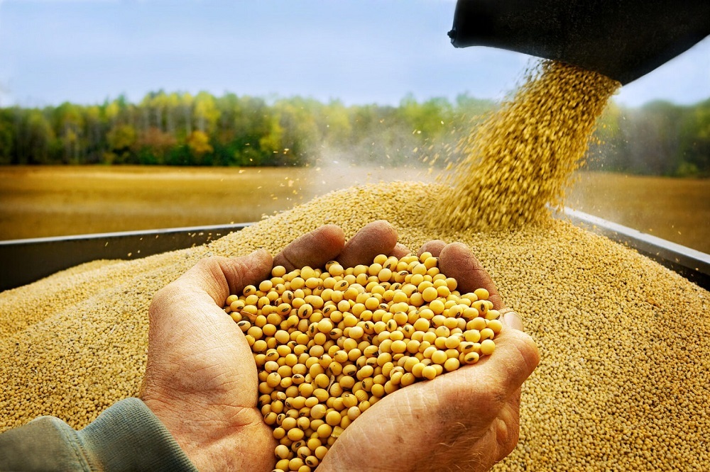 SOYA-1