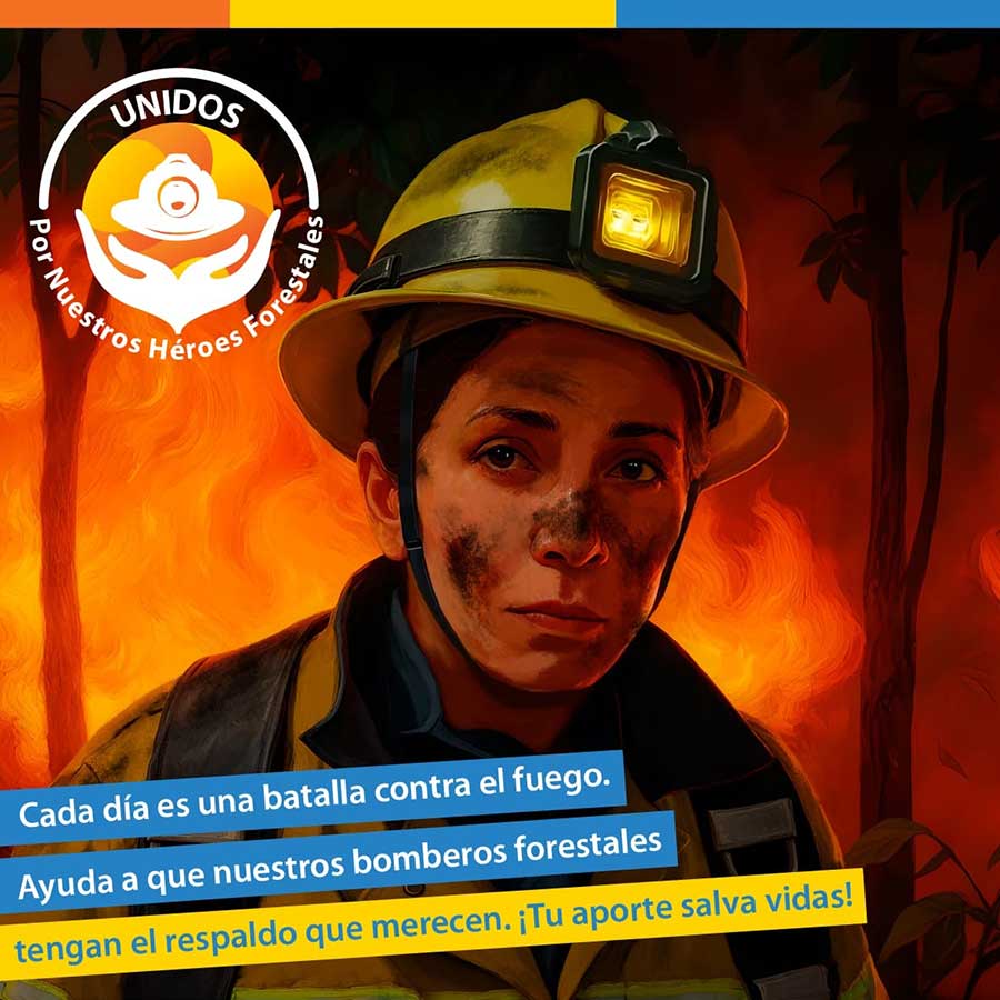 CNI-INCENDIOS-02
