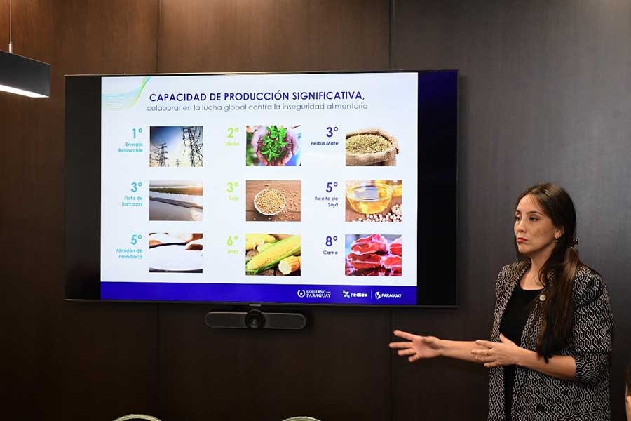 PARAGUAY-EMPRESAS-02