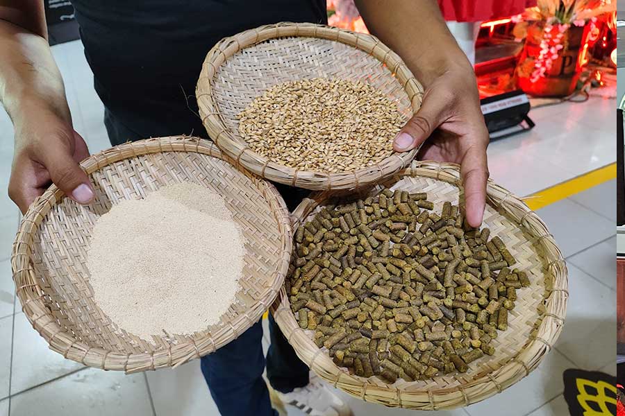 Elementos importantes para la elaboración de la cerveza.