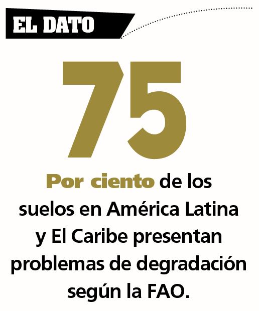 MANEJO DE SUELOS 1