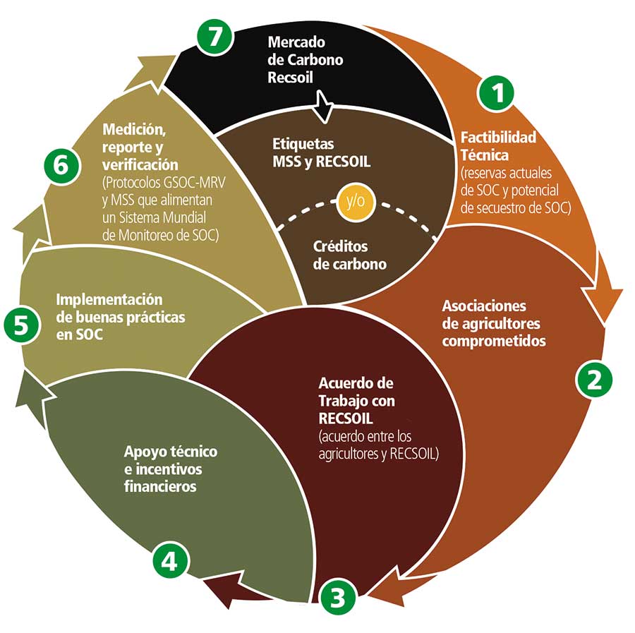 MANEJO-DE-SUELOS-3