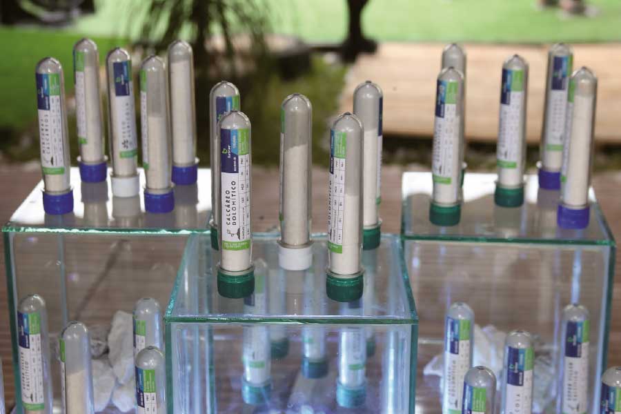 Bróter, 
de Itacamba, cuenta con cinco variedades diseñadas para regular el pH de los suelos