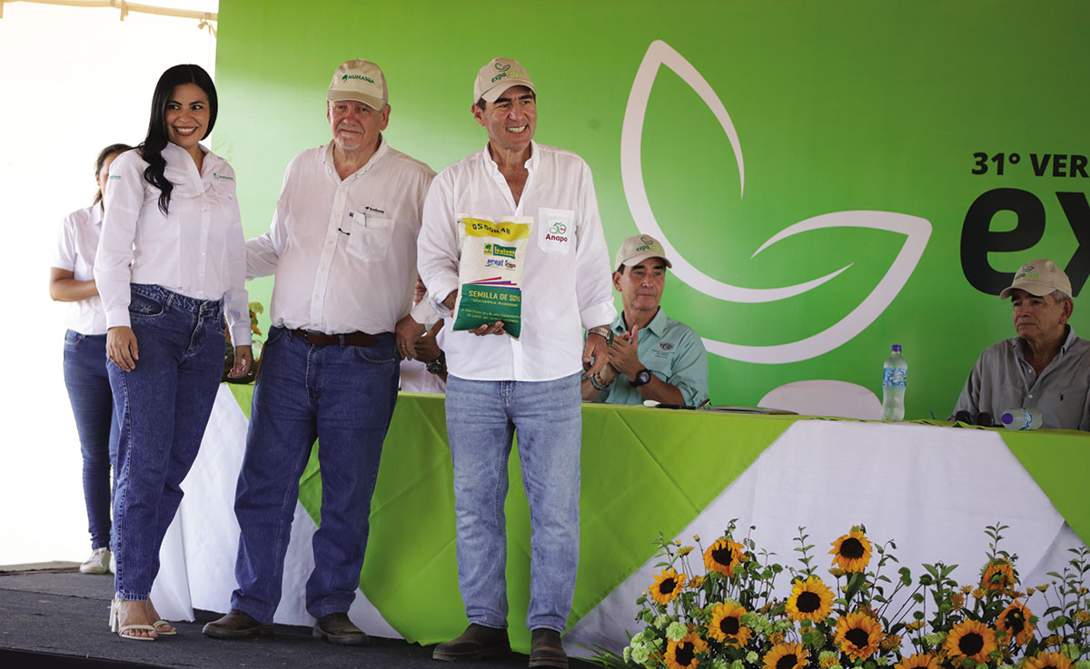 Patuju.
Es una variedad diseñada para optimizar la eficiencia en la producción agrícola