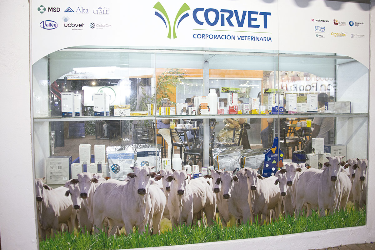 CORVET 01